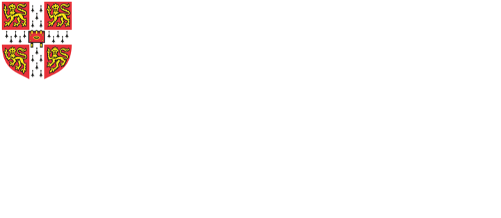 Cambridge International Education, Cambridge International School