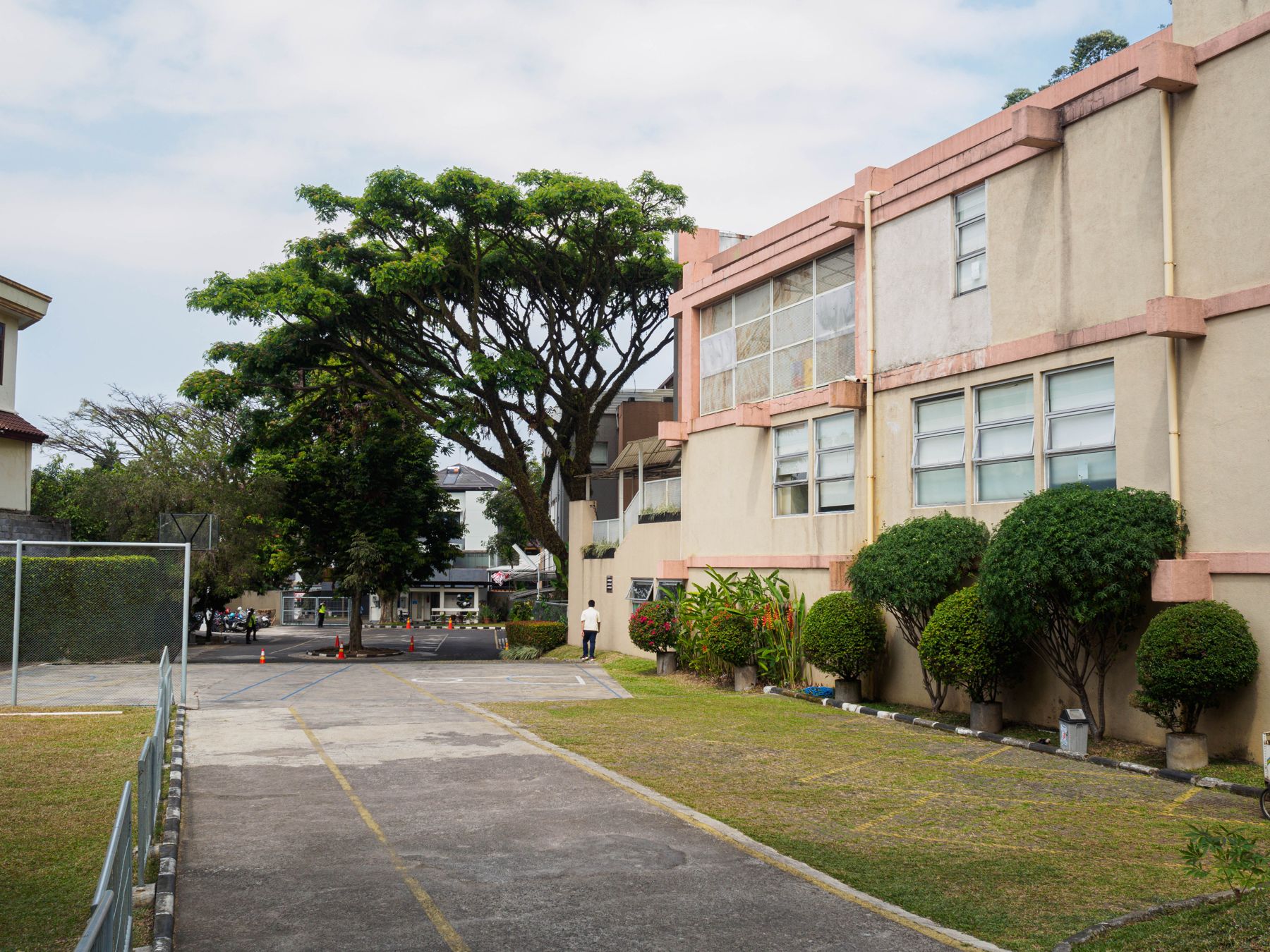 The Setraduta campus, with a large rain tree beside the classroom building