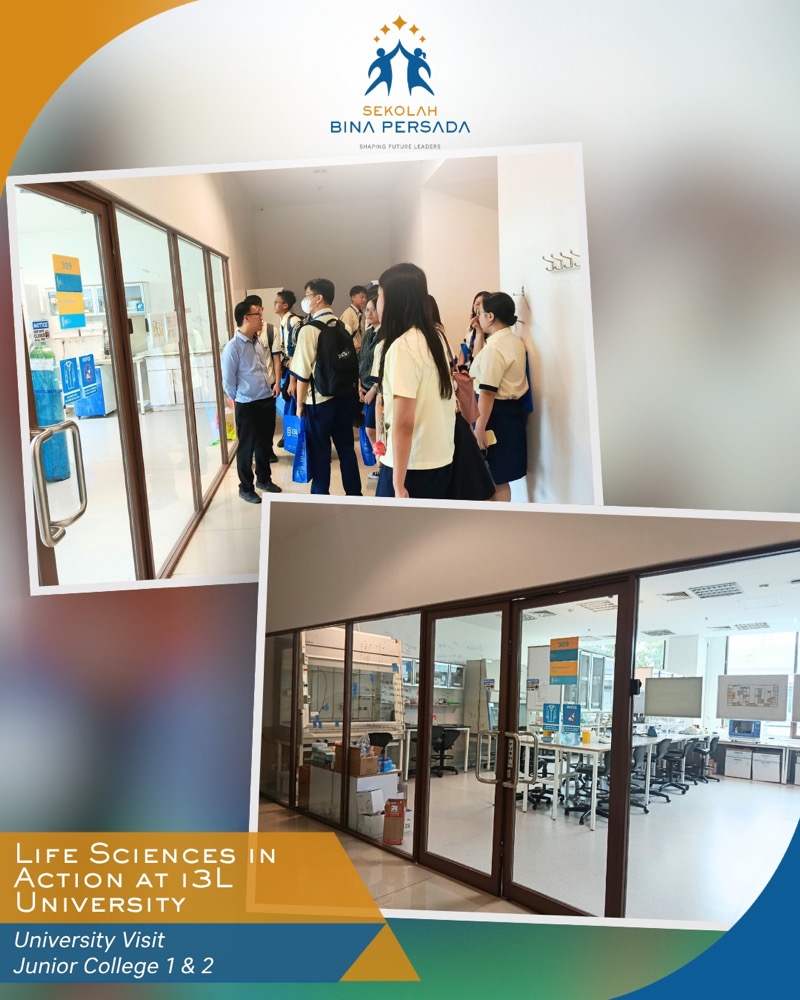 Life sciences at i3L University, photo 3