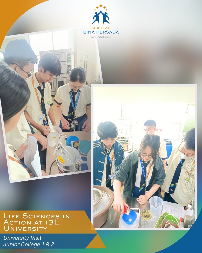 Life sciences at i3L University, photo 5